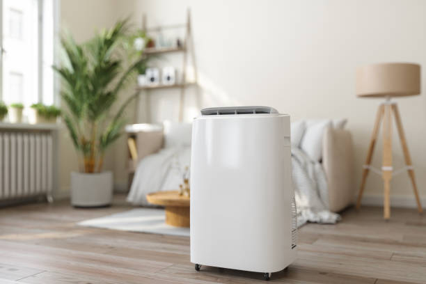 Best Air Filters and Purifiers in Temelec, CA